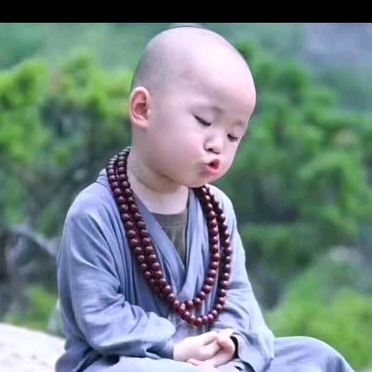 洪洪🍒(浪迹天涯)