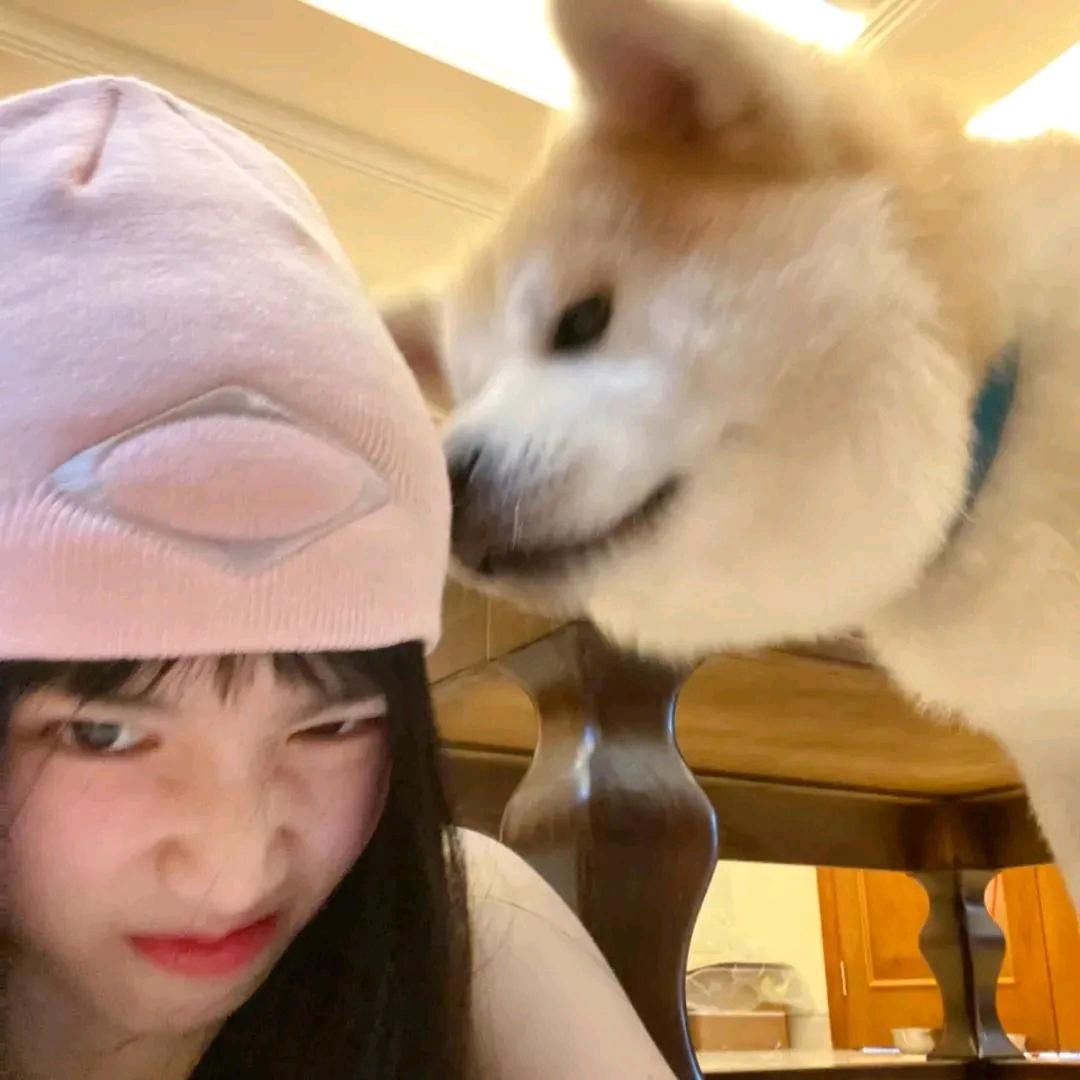 哈尔滨丽迪·迈阿密bsk花海·小ttt