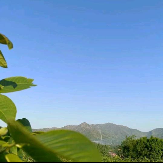 爱情码头