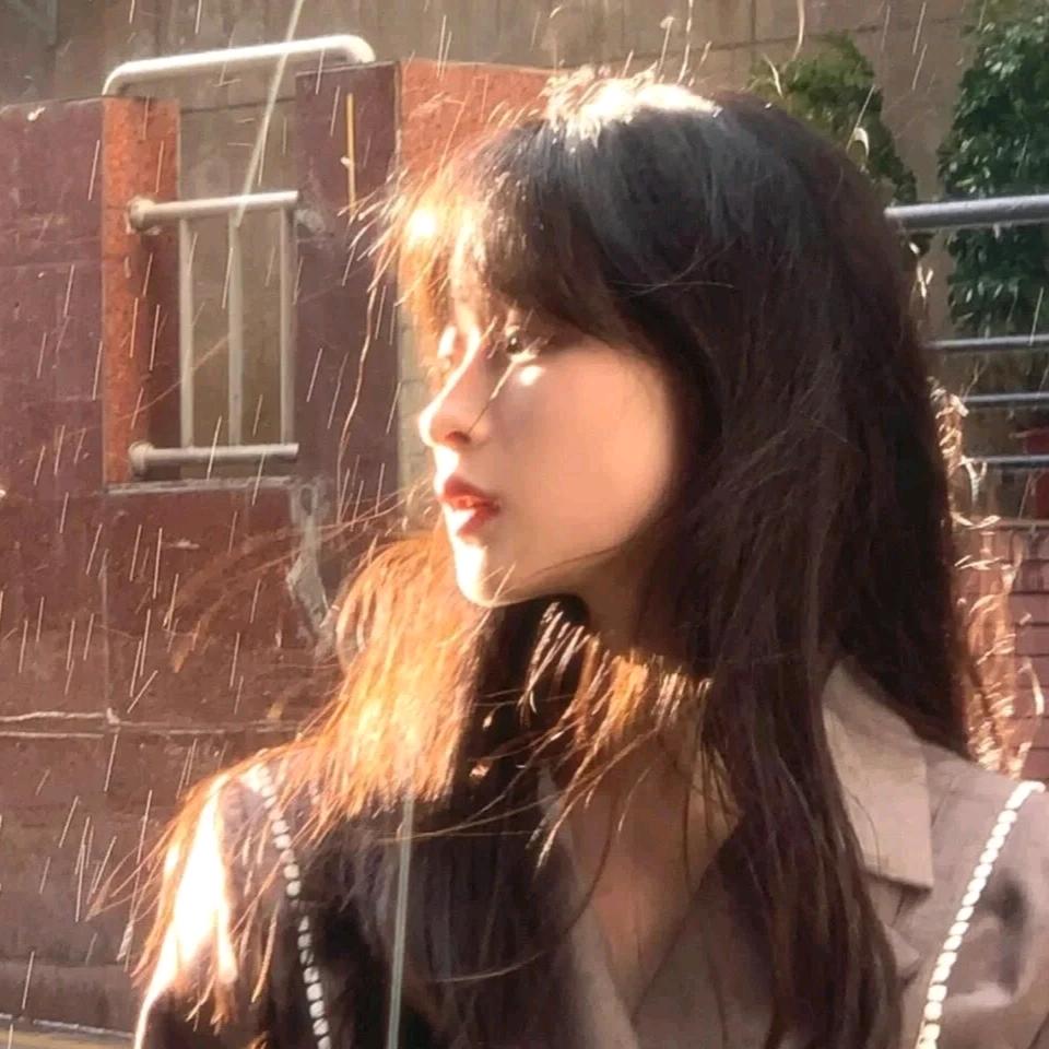 小小小🦋