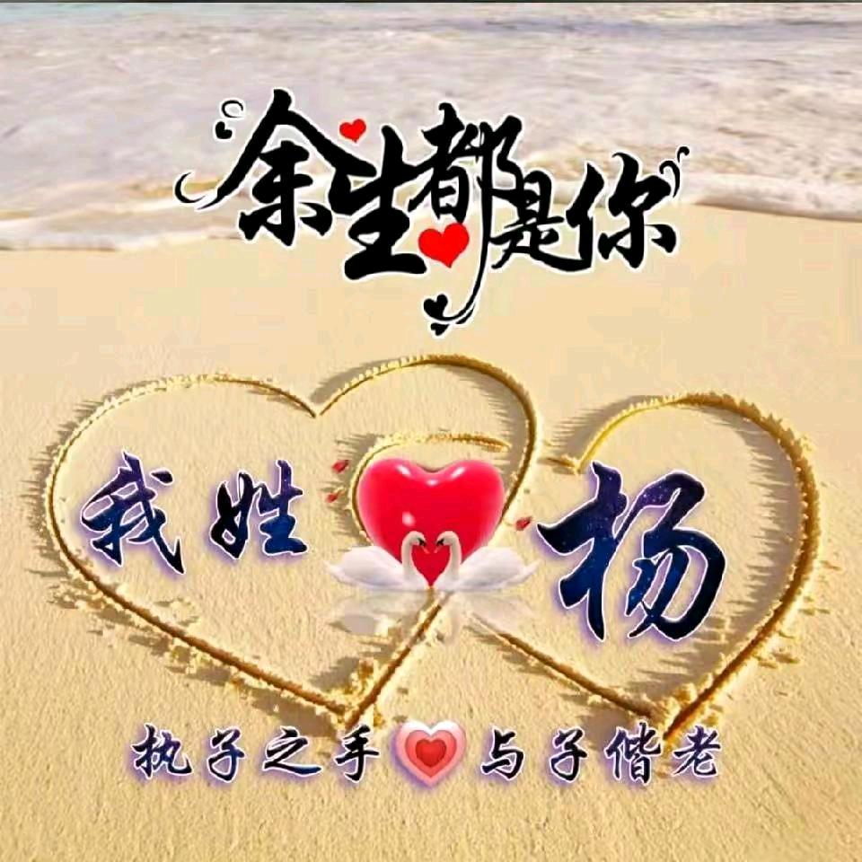 大懂庄散养才鸡