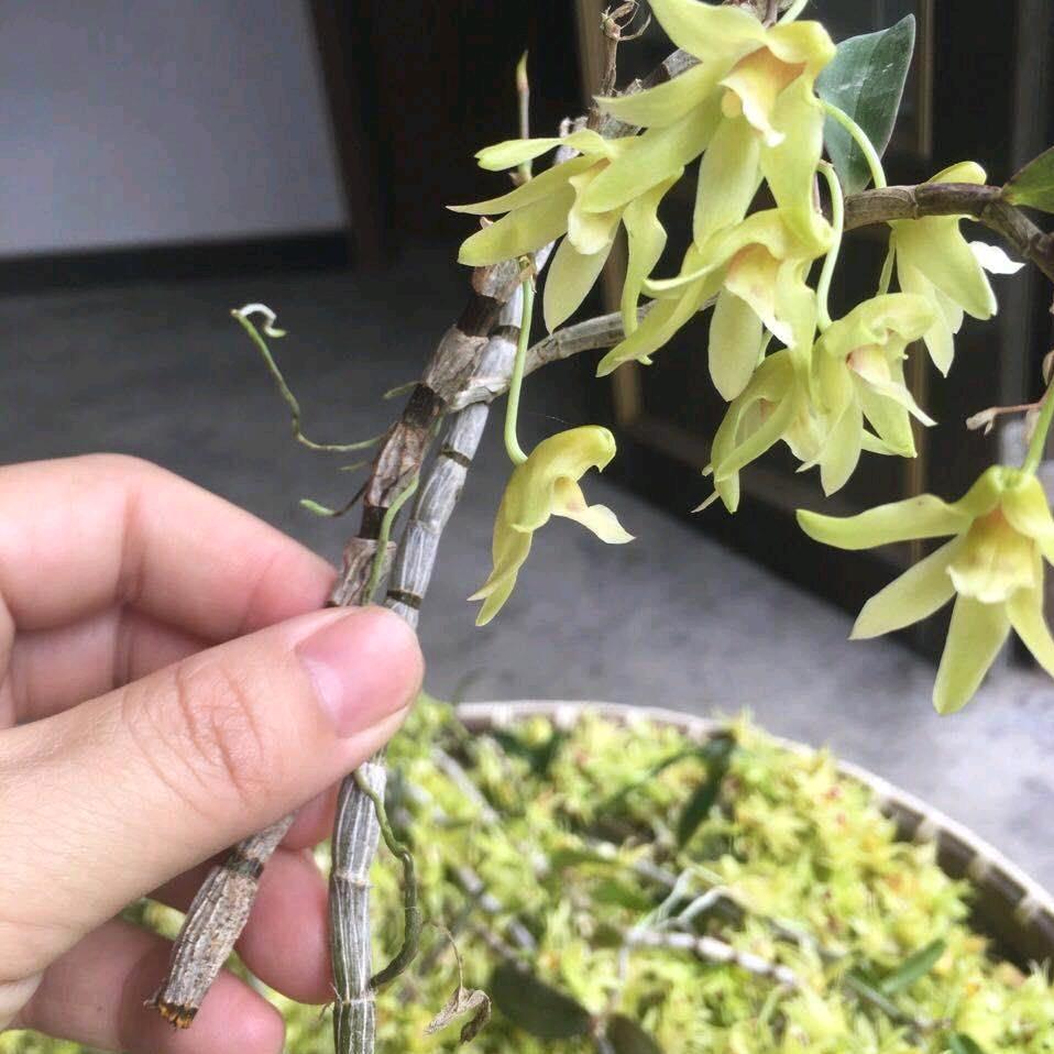 回忆都淡了