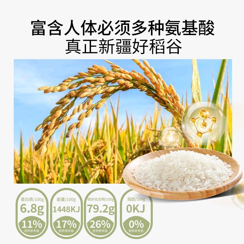 古丽纳《好物在橱窗》