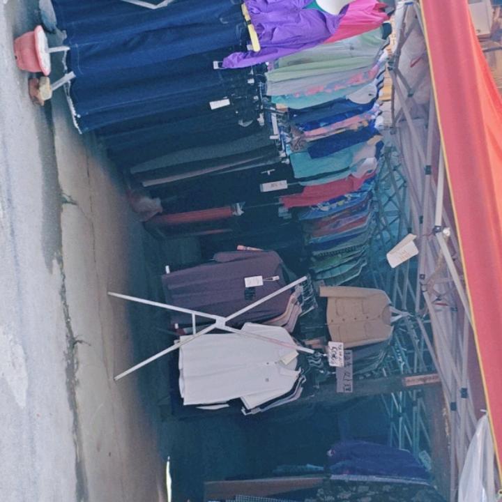 🌺十里桃花🌺半亩花田🌺