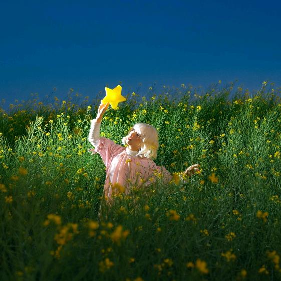 应届废物的树洞🌾