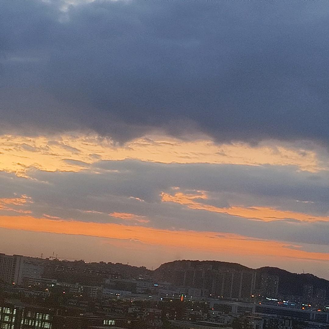 海元驾校的牛马