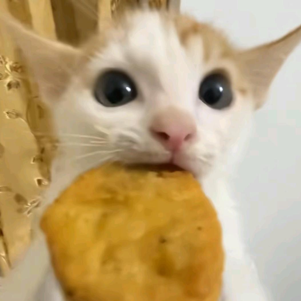 ₍˄·͈༝·͈˄*₎◞ ̑̑