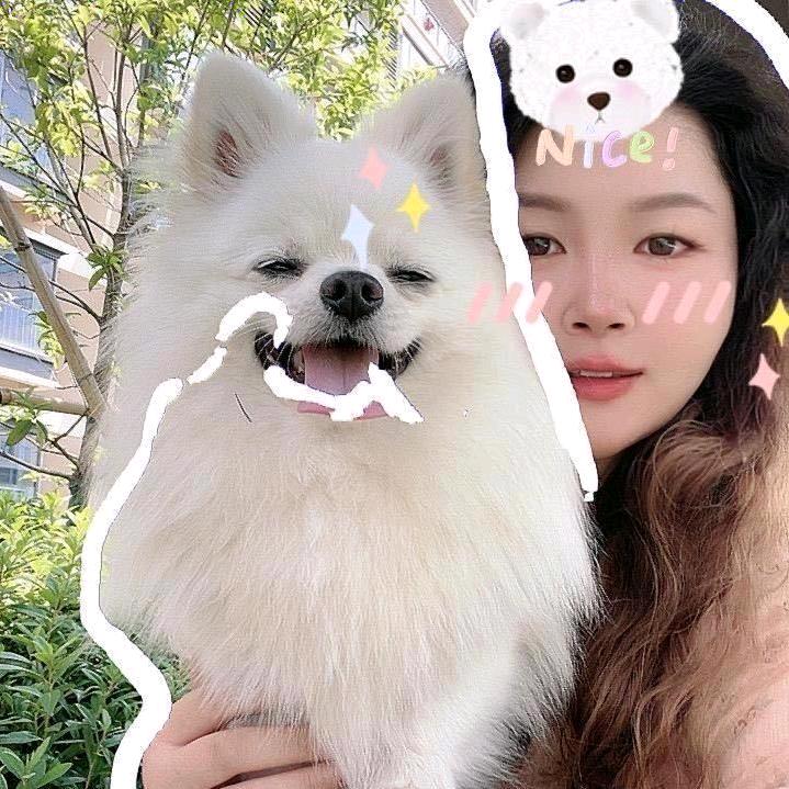 请叫我小W