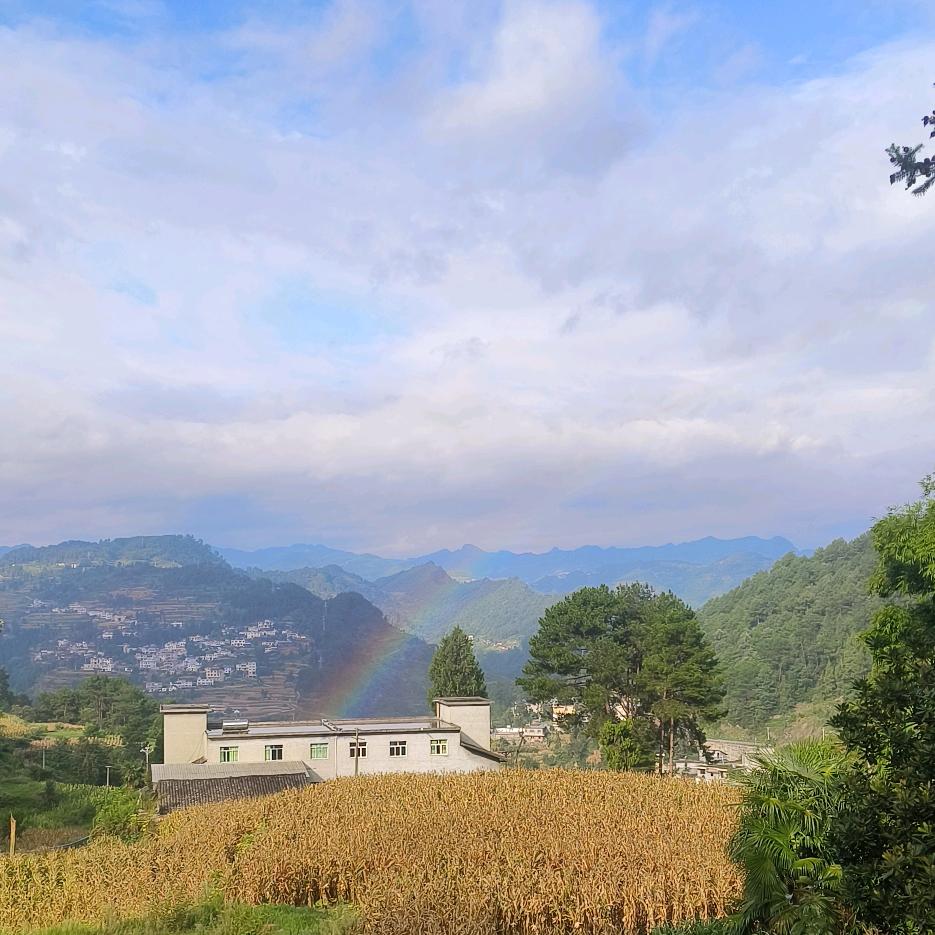 ☞随╭(╯ε╰)╮缘☜