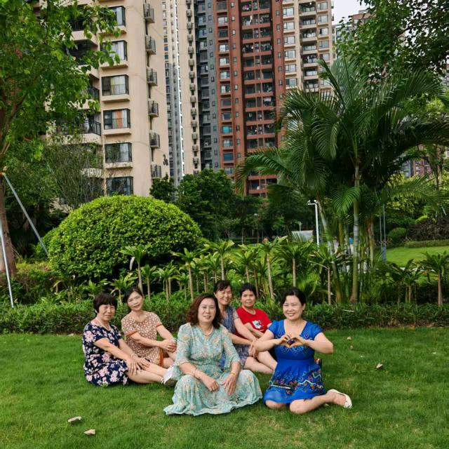 琴乐🌻🌻