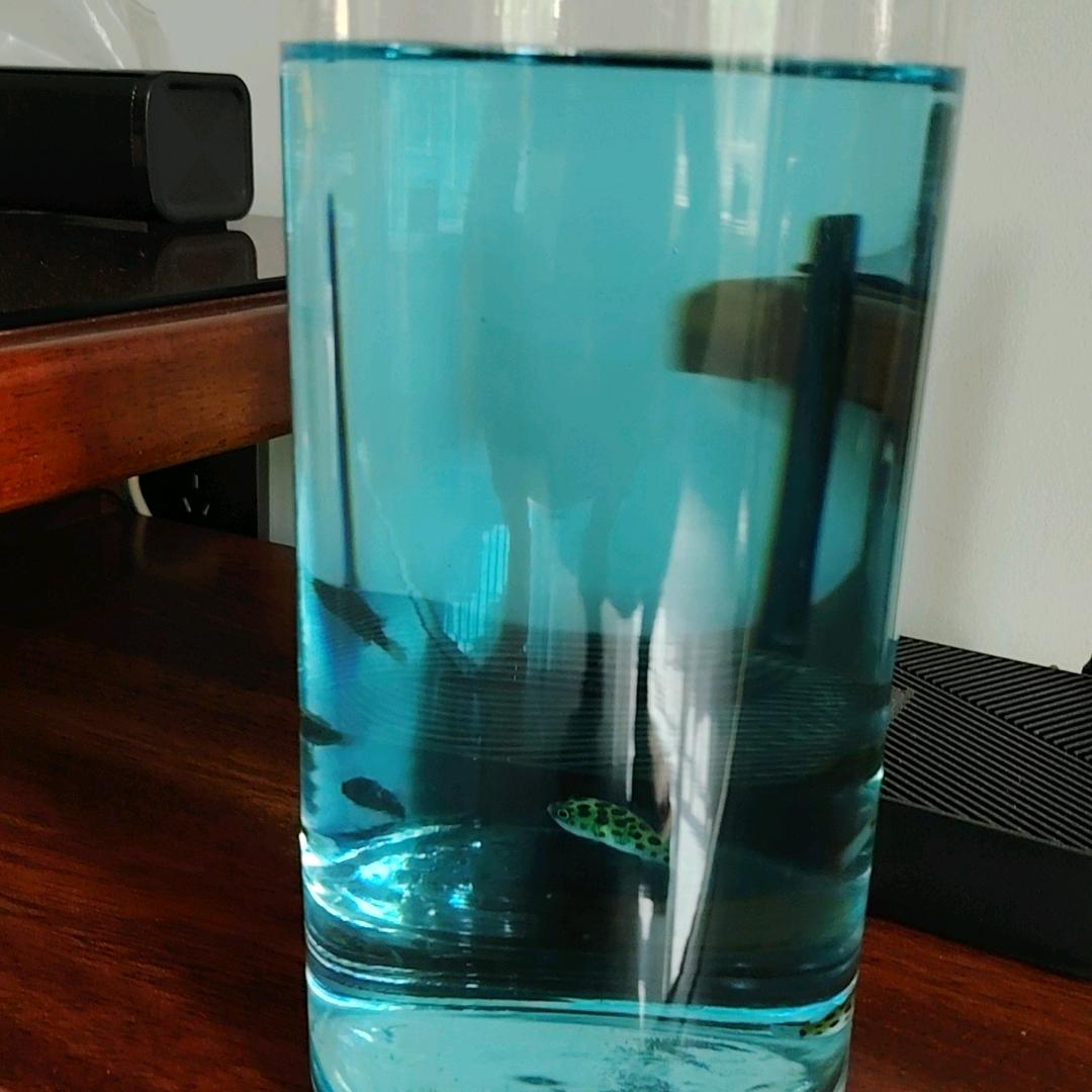 辉哥哥