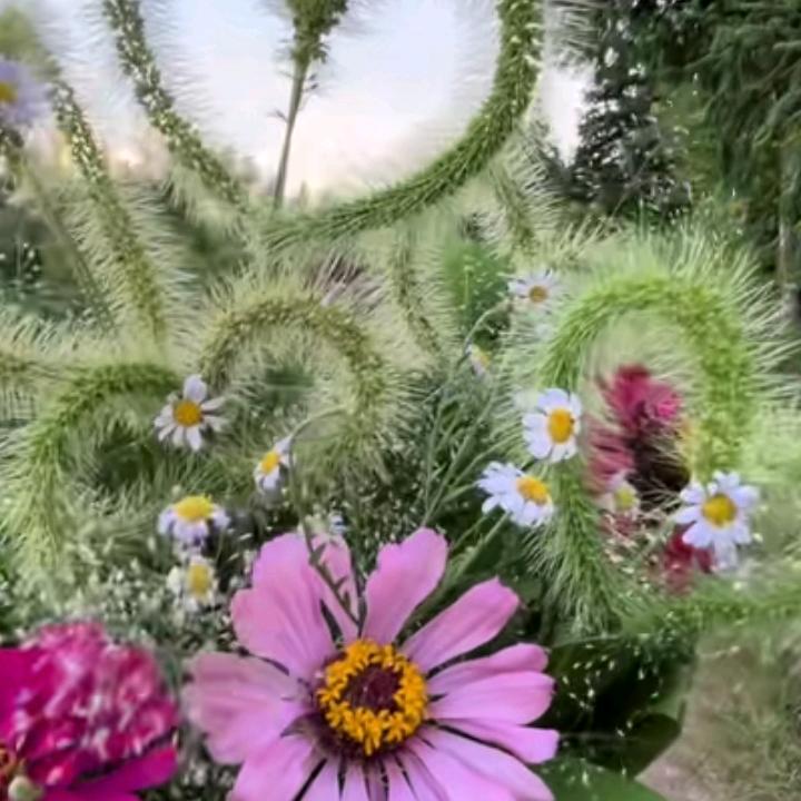 @🥀余生不将就🌻🍬🎄:
