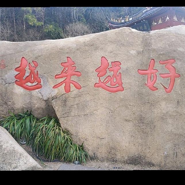 ☘️🍀🍀🍀🍀🍀