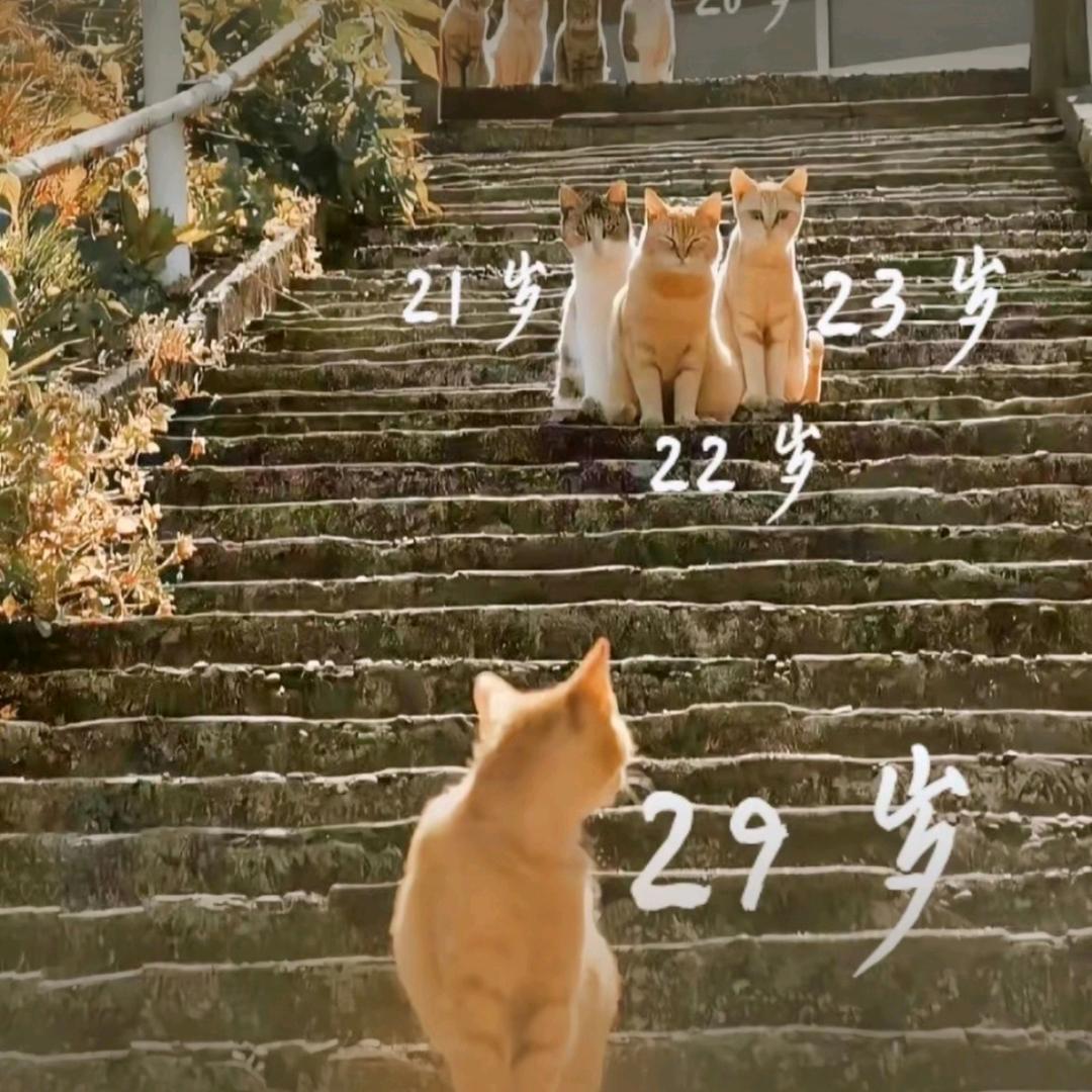 欭惗。