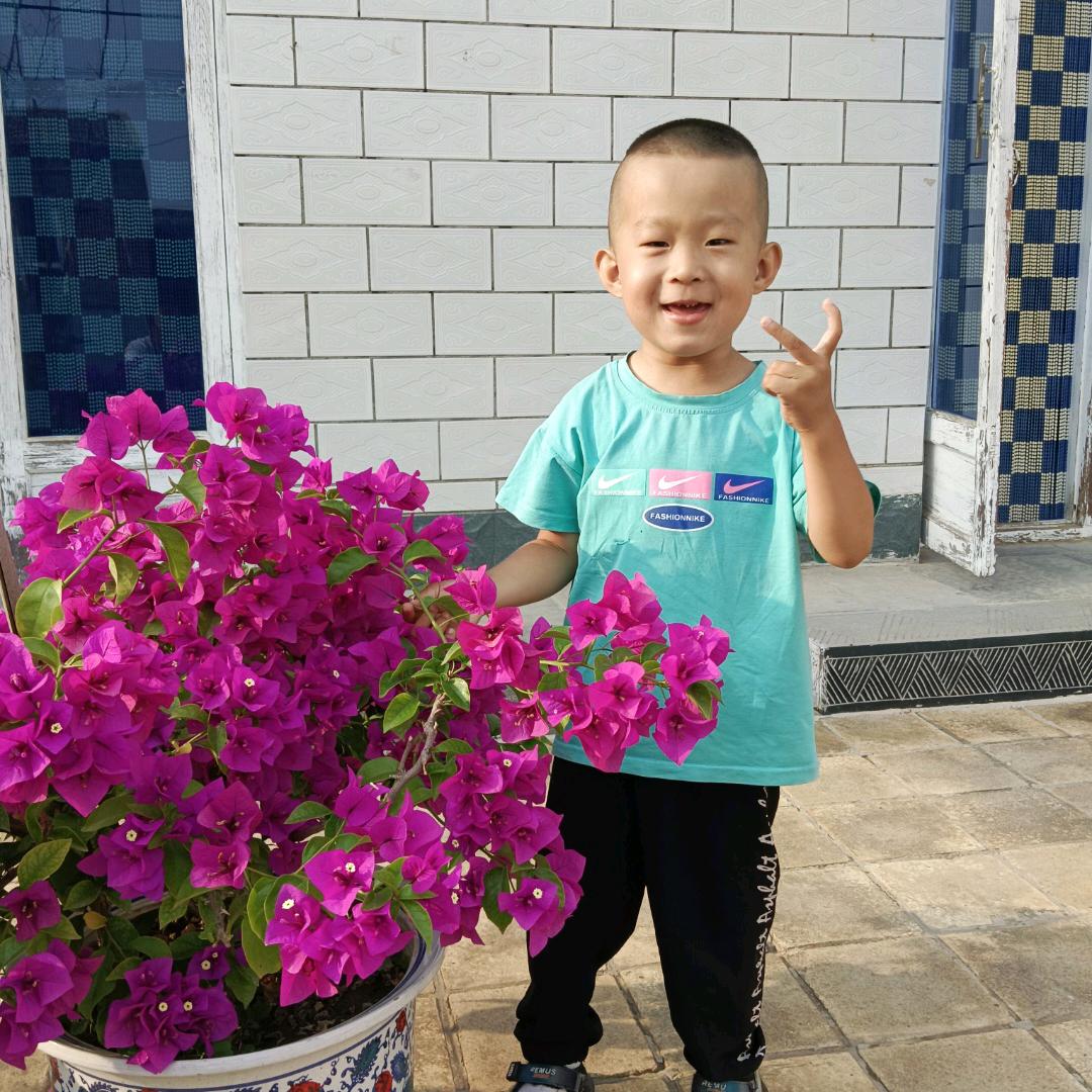 慧慧