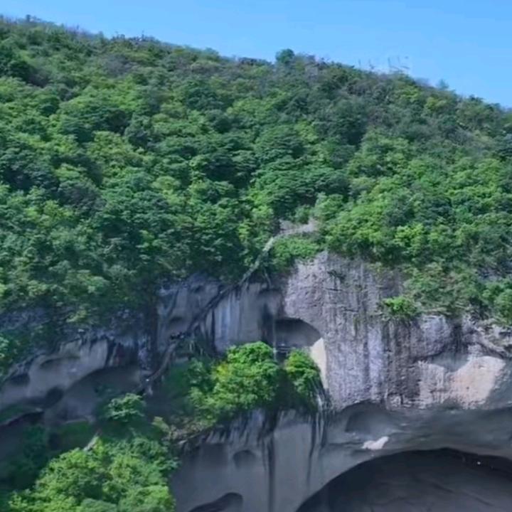 大别山祥孑哥
