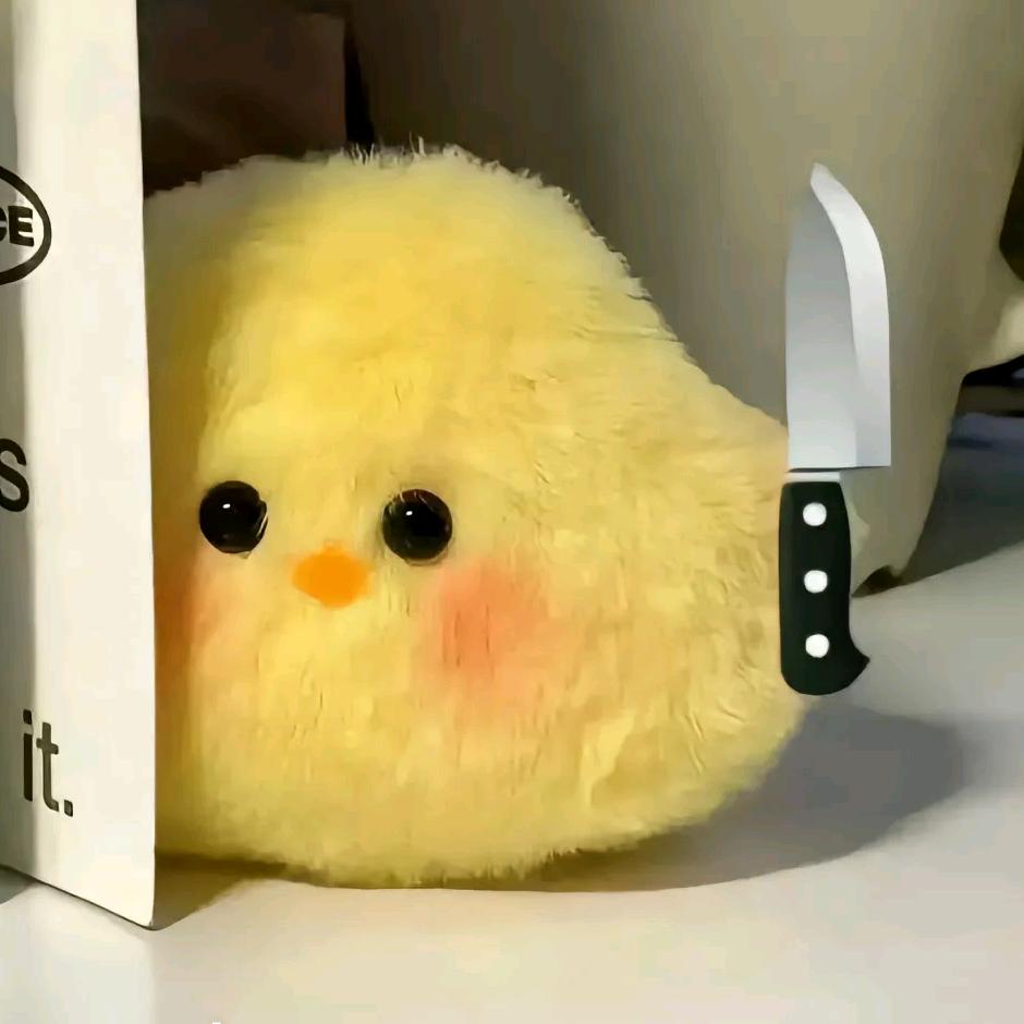 艾瑞芭迪