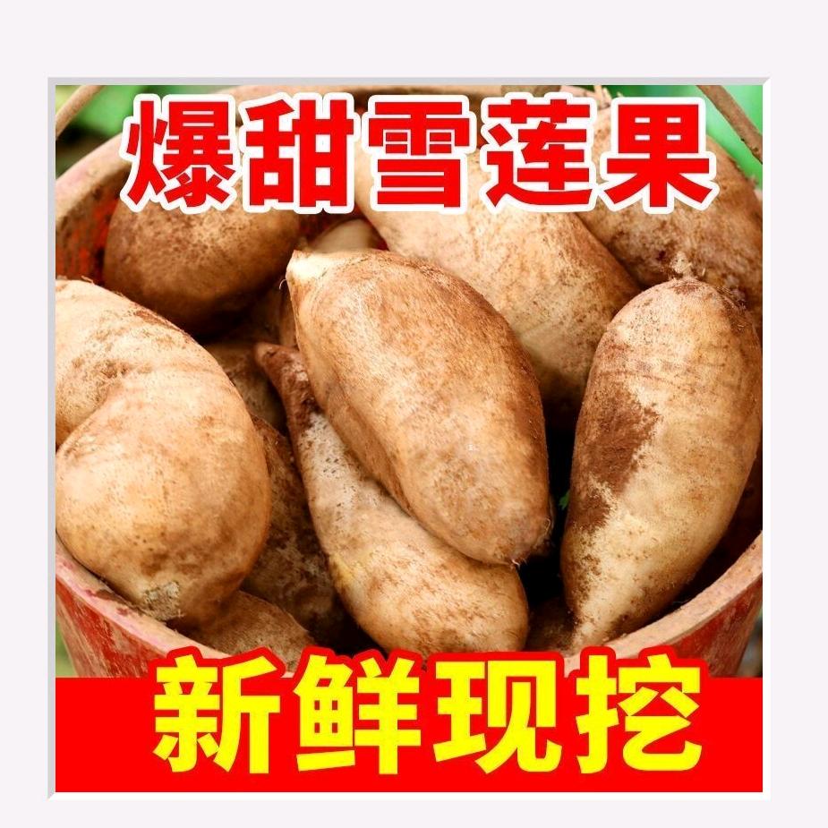 每日生鲜水果严选