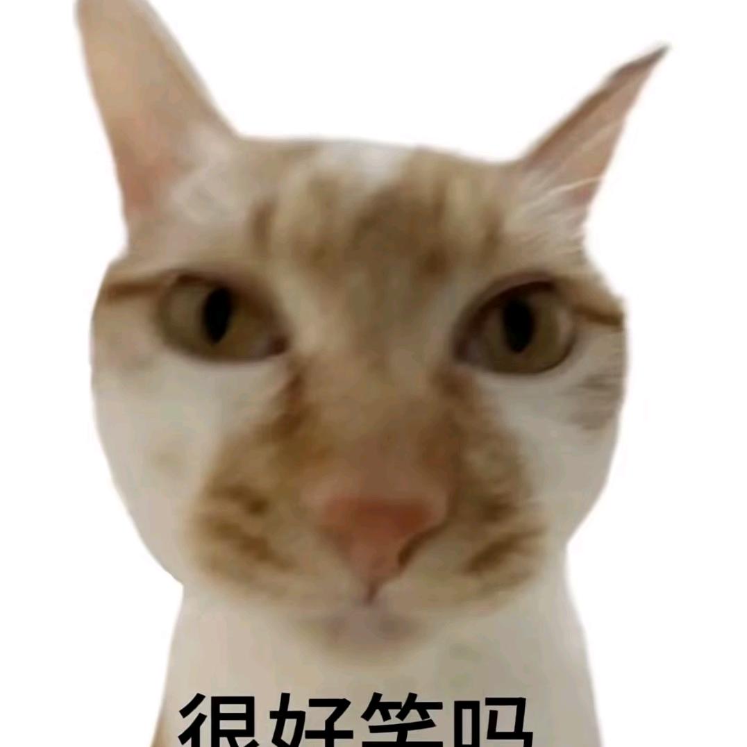 tfttugh