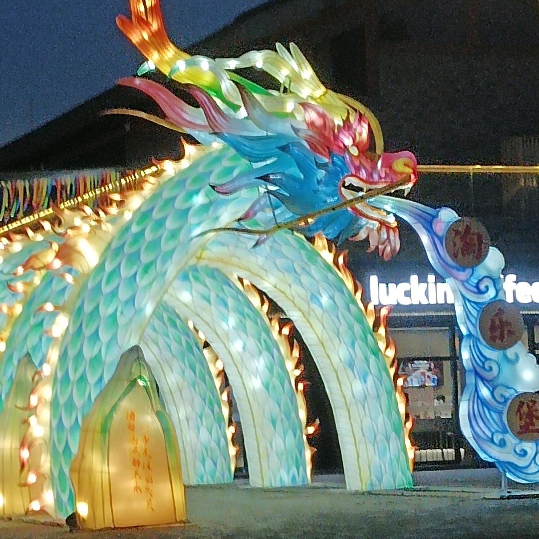 随意