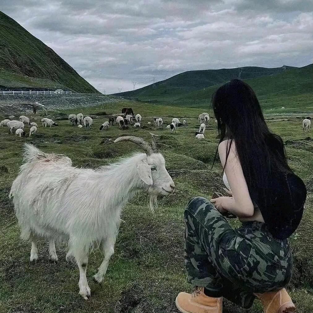一杯雾