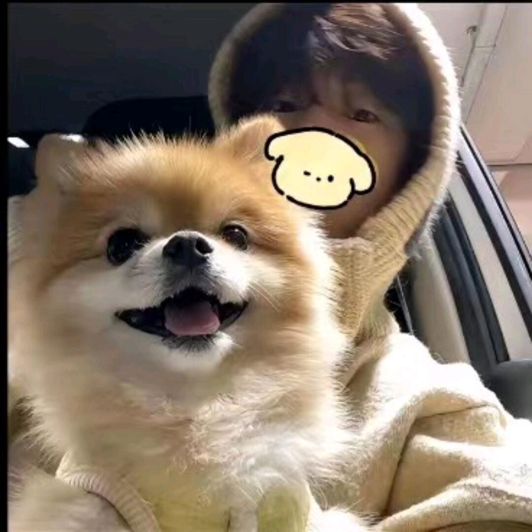 不吃火锅就会死