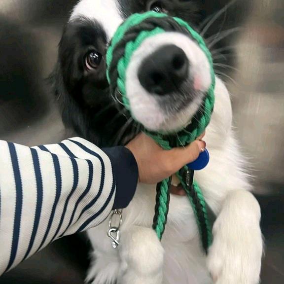 睡个好觉（买彩票中十亿版）