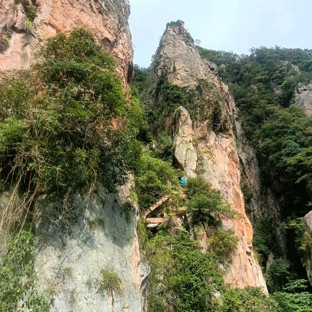 心领
