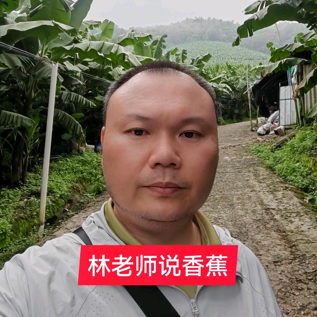 林老师讲香蕉（泓隆农业）