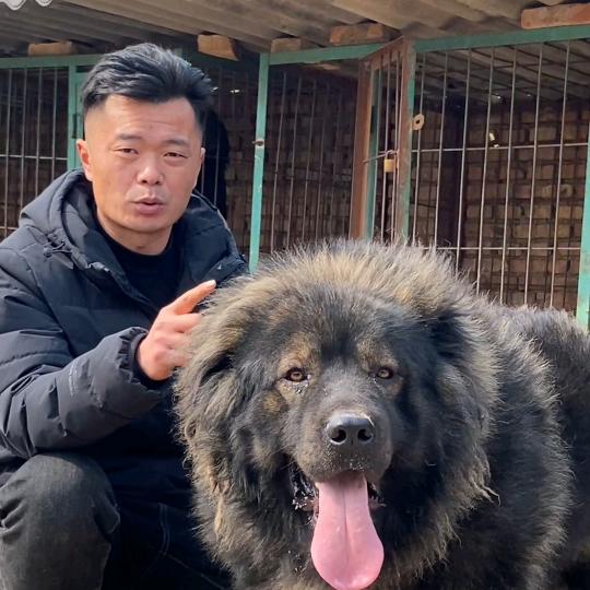 （养犬李哥）兴岩宠物