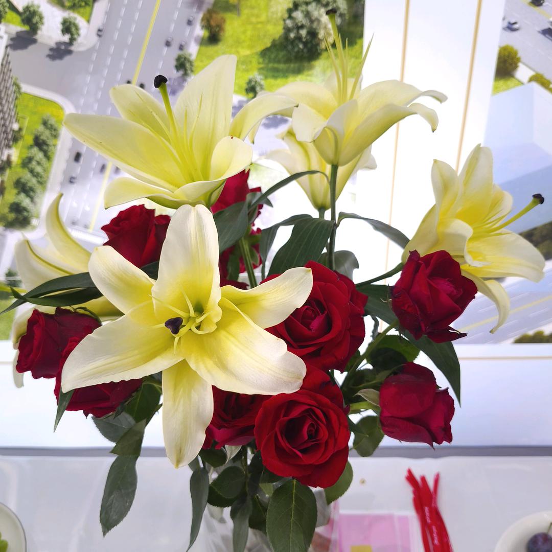 双河国际智慧城售房部~小张女士