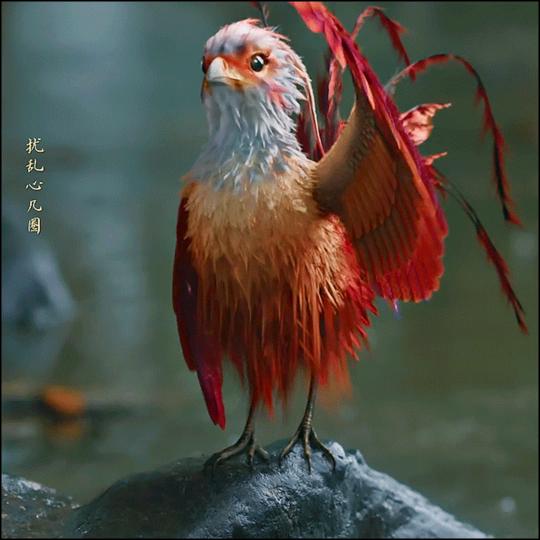 凌云志兮