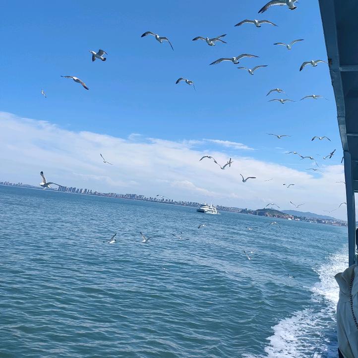 古清韵酒类专营店