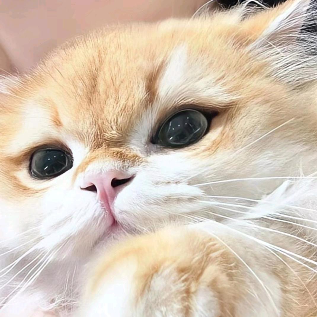 不知道改什么名字随便打几个字