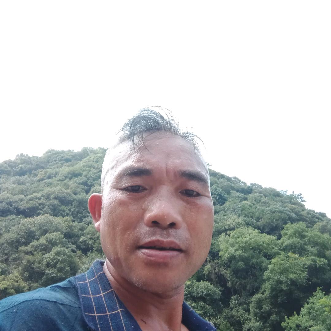 东山再起重做人