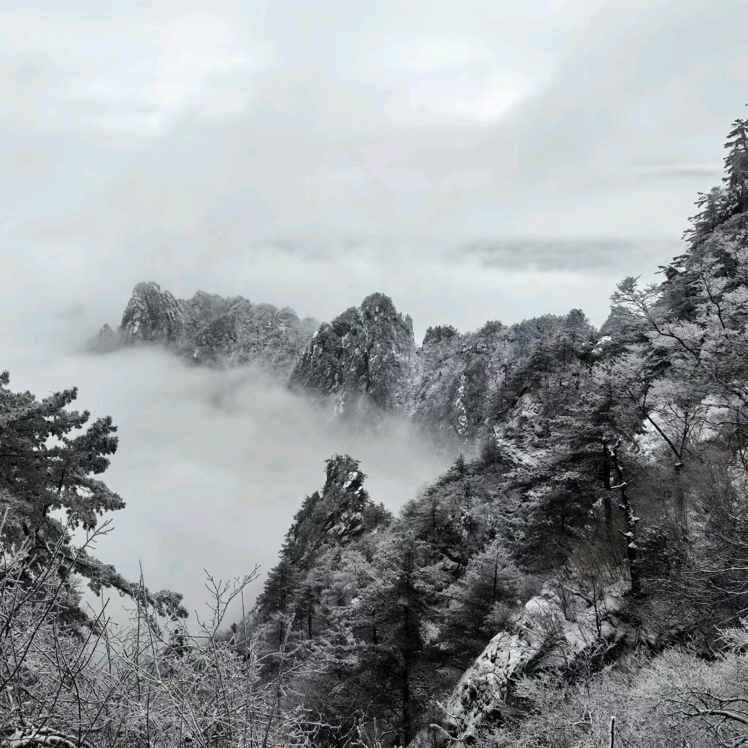 辅助你先手