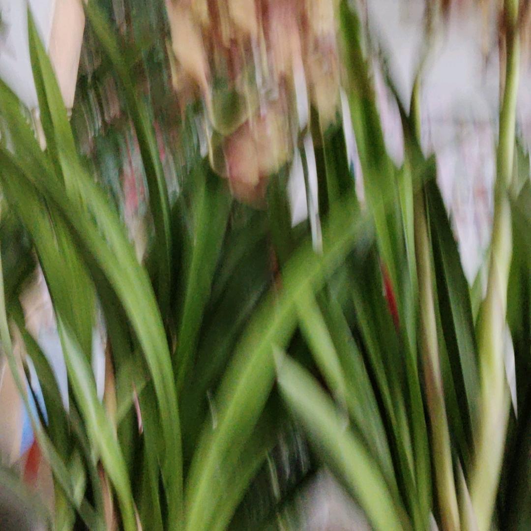 开心每一天