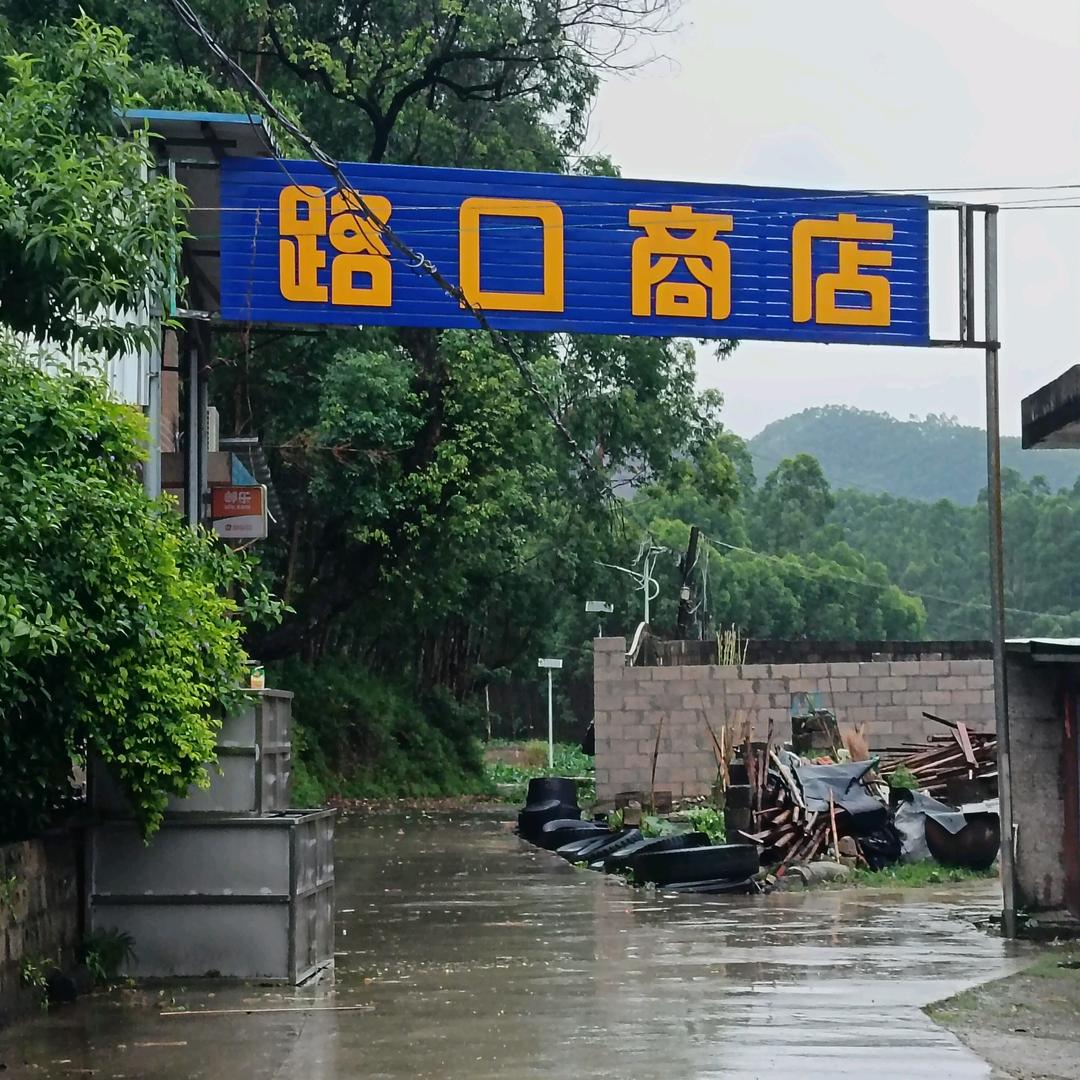 无情