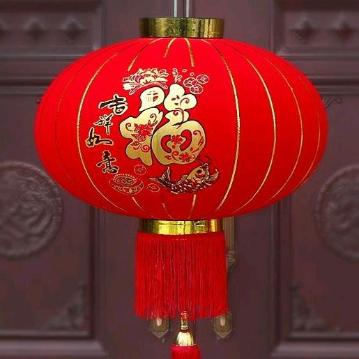 毛孩