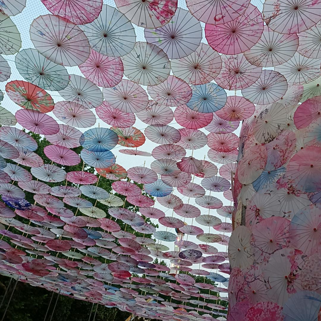 张善胜~室内~室外整体装修