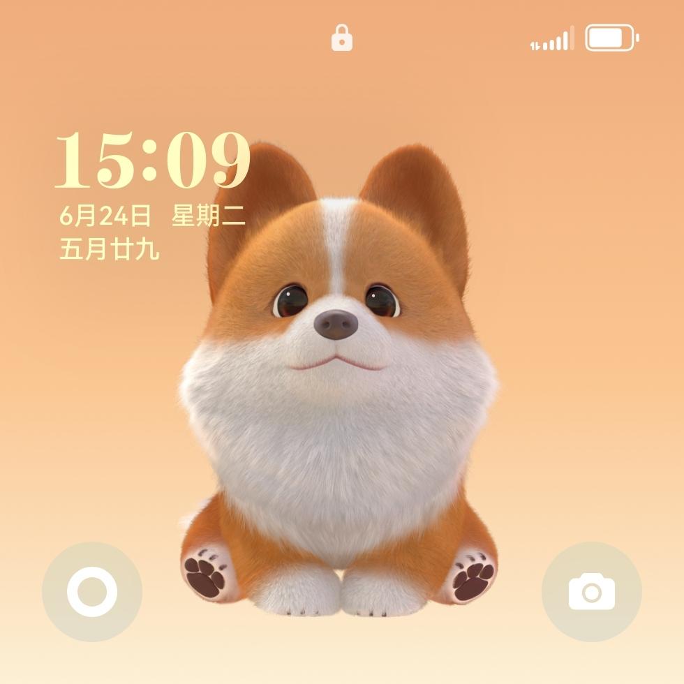 睡觉的鱼