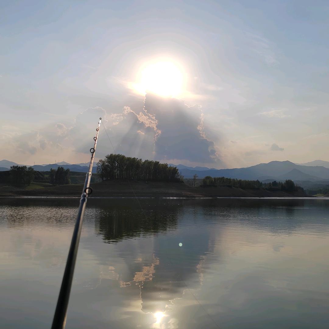 何以解忧?唯有🎣。