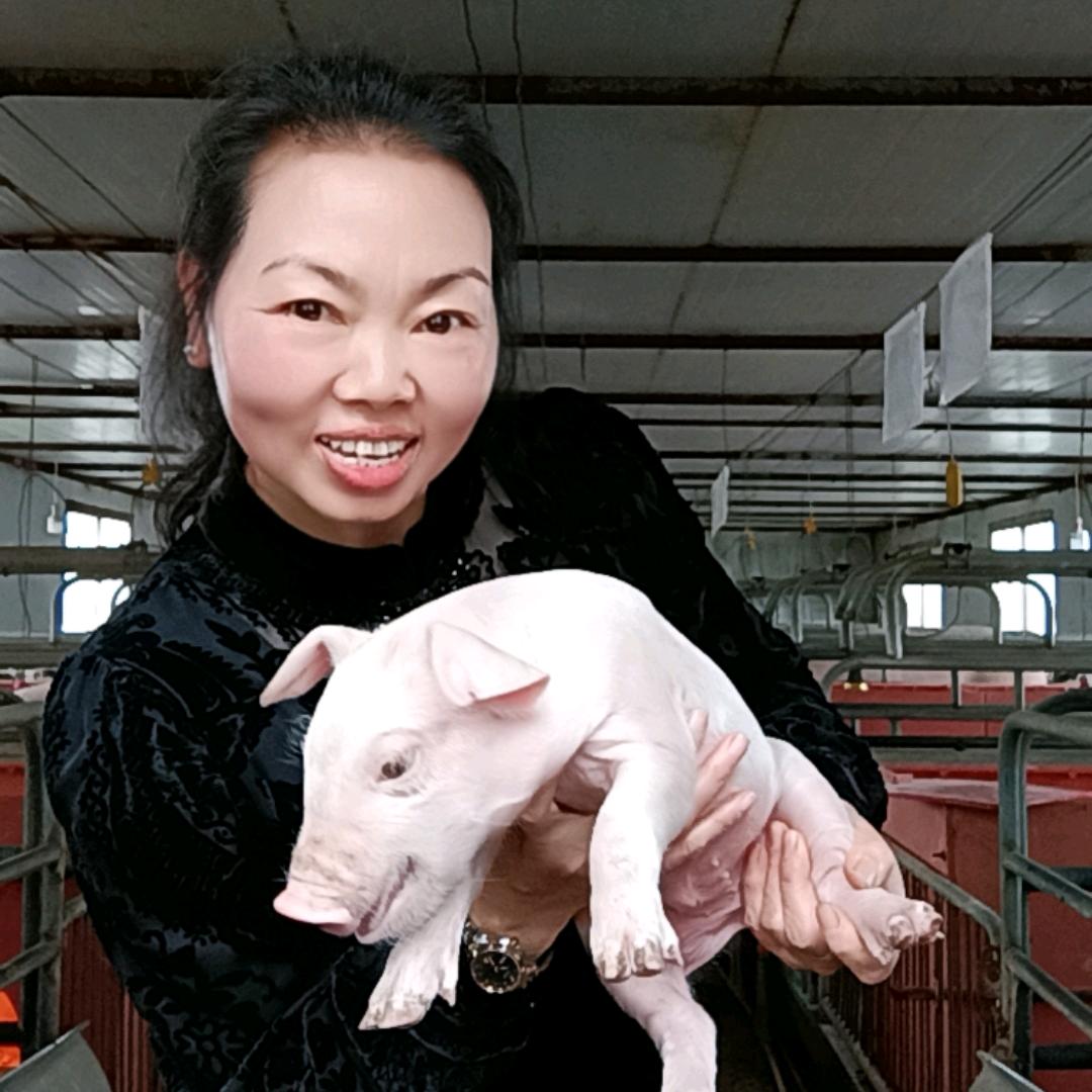 谢大姐聊养猪技巧．分享养殖技术。悦淳养殖
