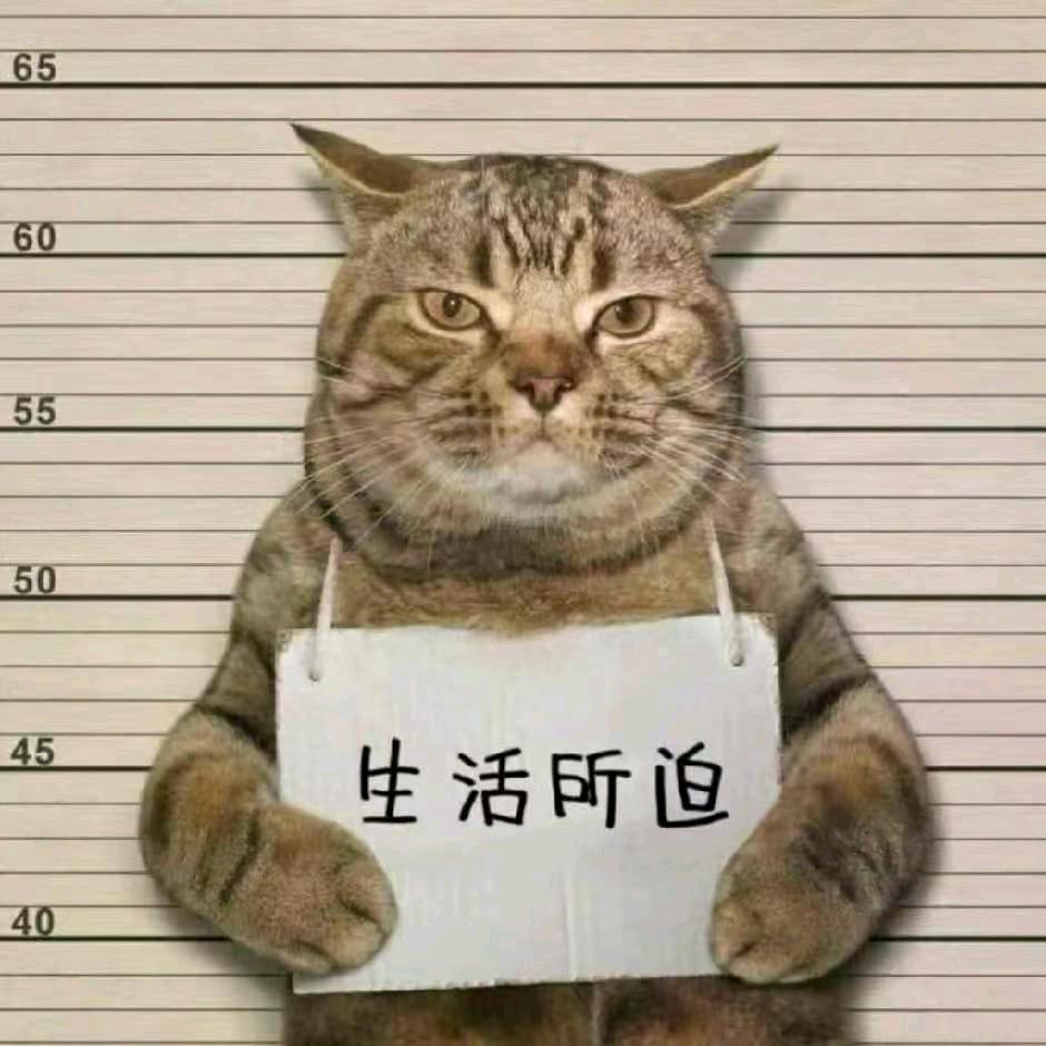 一只小年糕