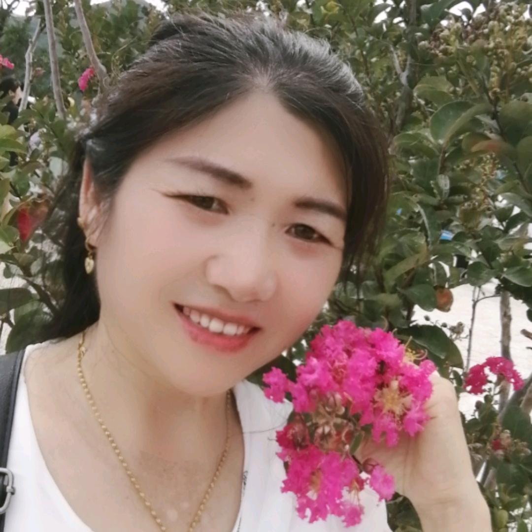 河南郑姐