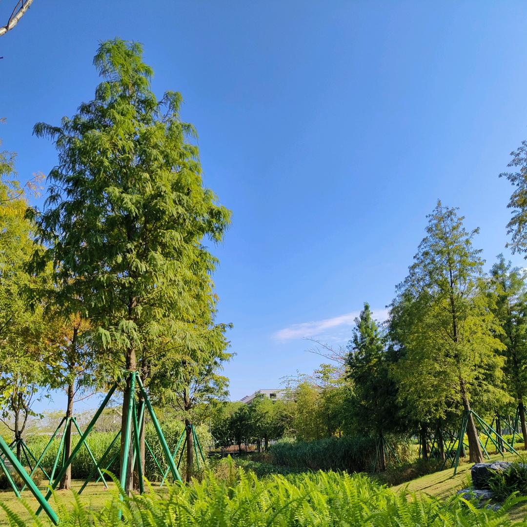 茶有余²饭有后⁴