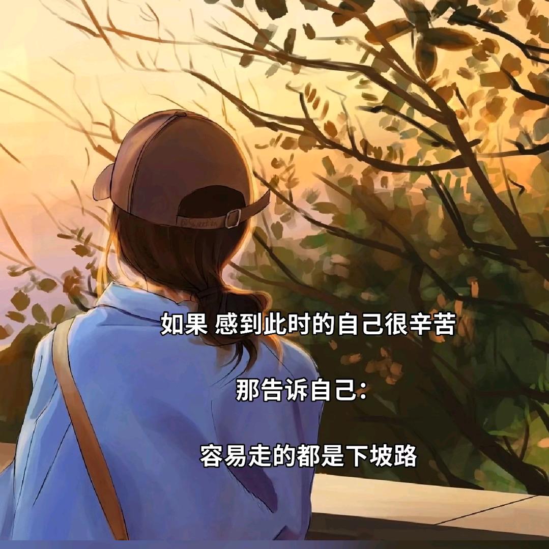 齐菲美容官方号