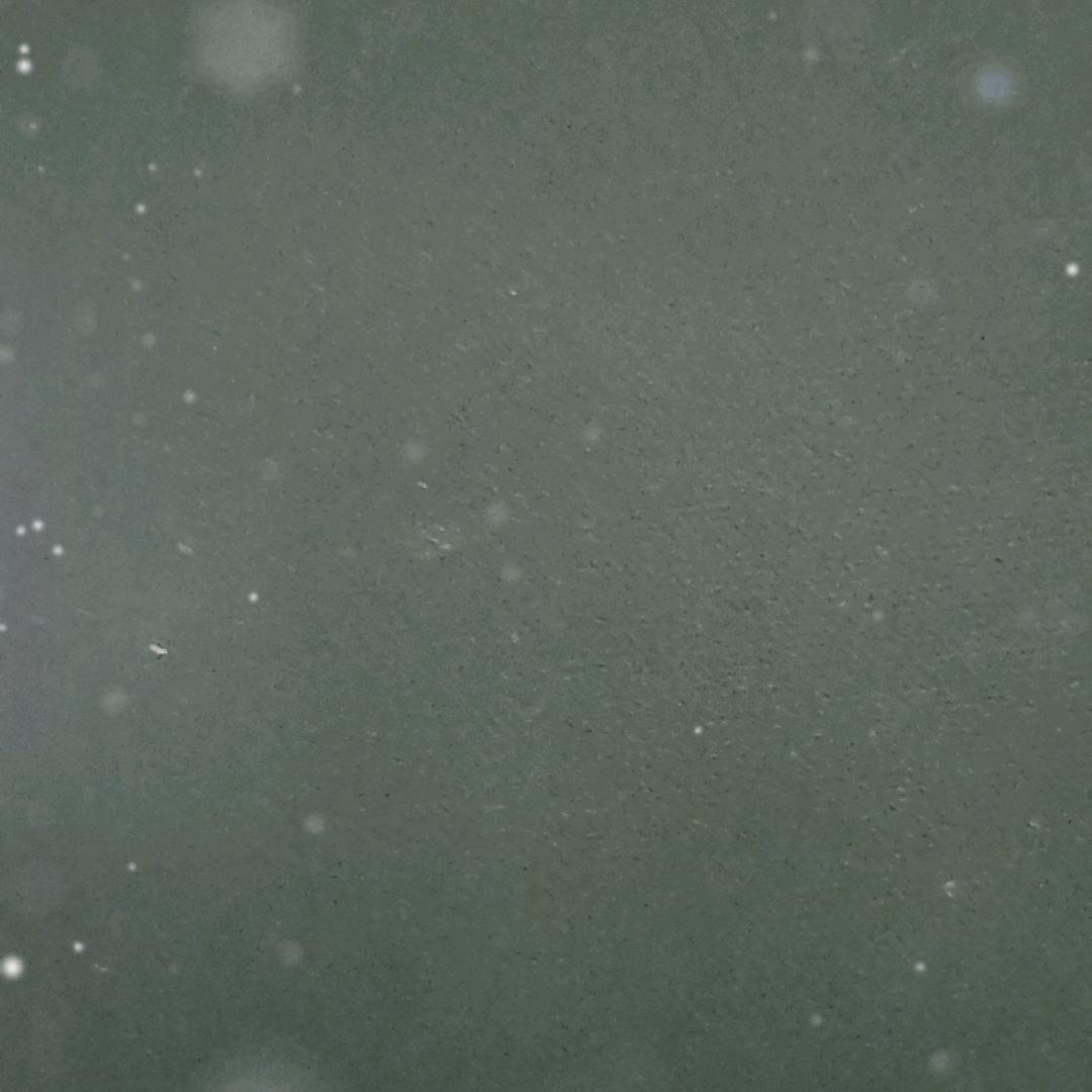 大家放不下