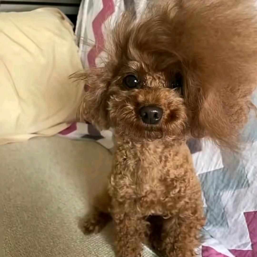 祈秋色