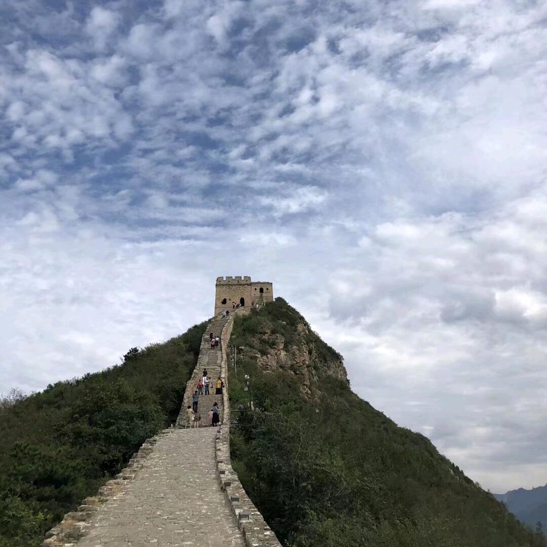 超然优品种业
